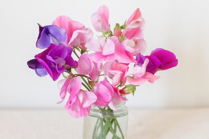 sweet pea flower bouquets