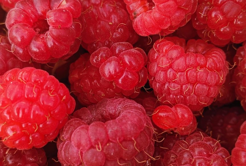 fresh raspberries