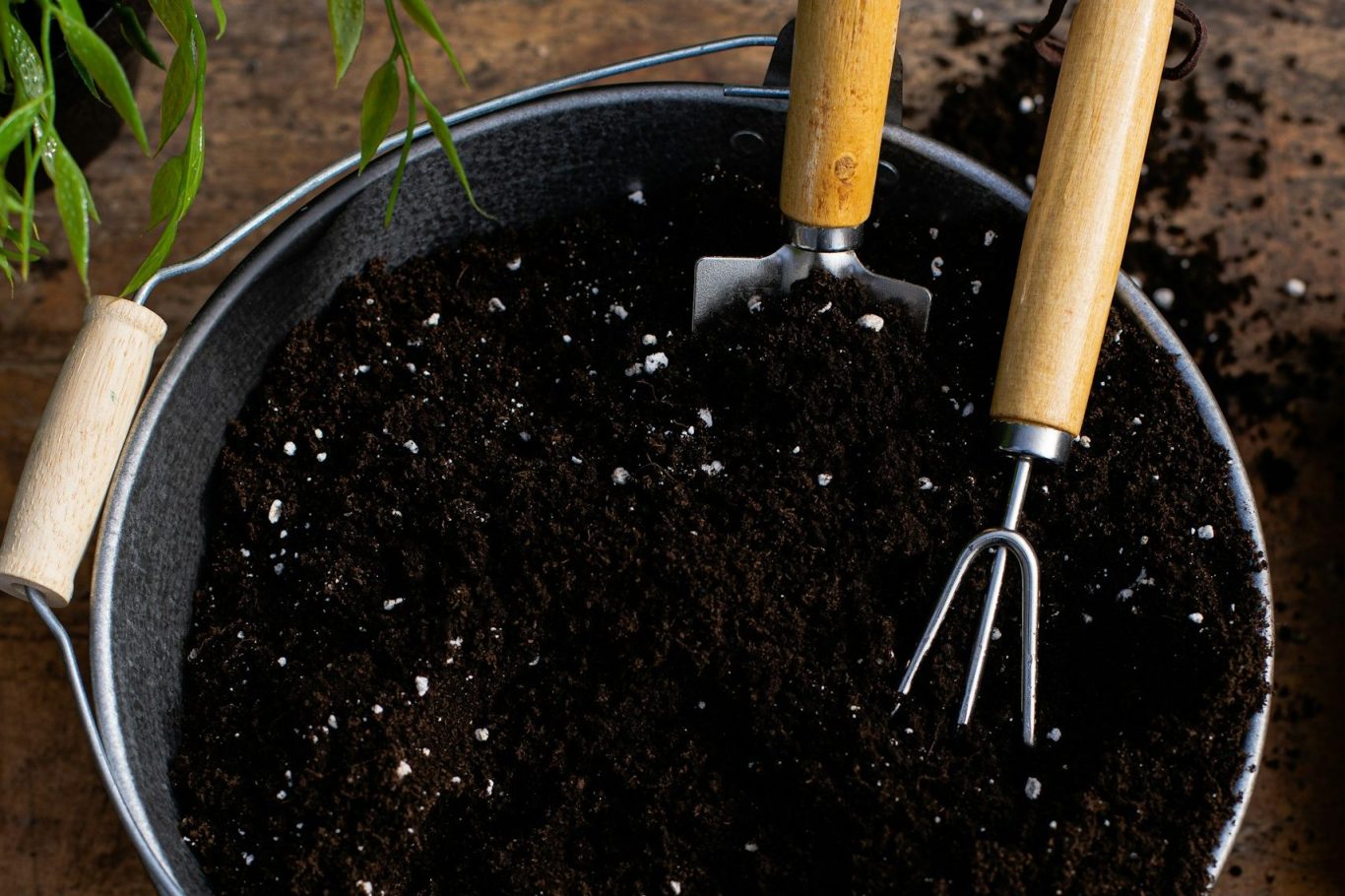 garden Soil