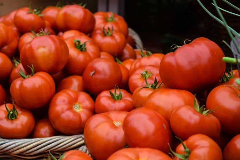 how to grow tomatoes