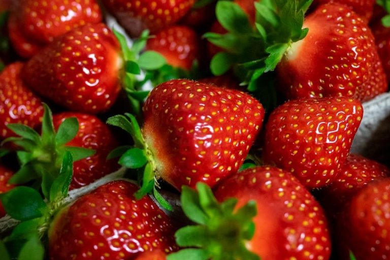 how to grow strawberries
