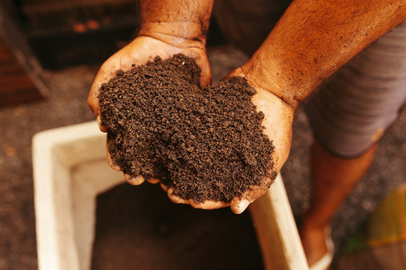 fertilizer